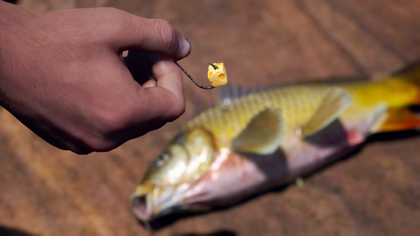 Игра SCUM, скриншот