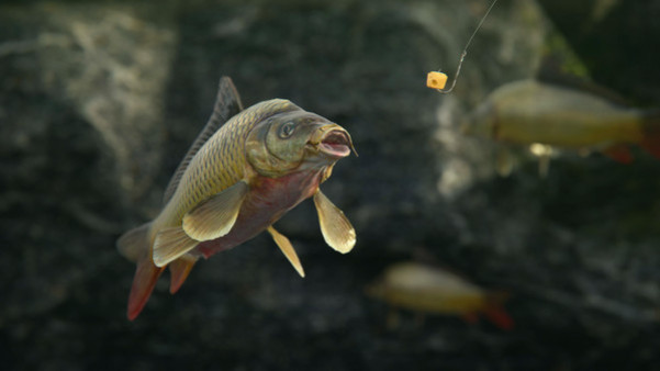 Игра SCUM, скриншот