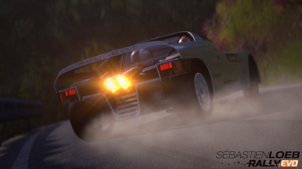 Игра Sébastien Loeb Rally EVO - Class S The Prototypes, скриншот