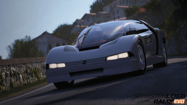 Игра Sébastien Loeb Rally EVO - Class S The Prototypes, скриншот