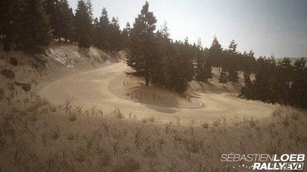 Игра Sébastien Loeb Rally EVO - Pikes Peak Pack Peugeot 405 T 16 PP, скриншот