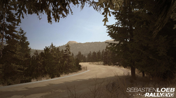 Игра Sébastien Loeb Rally EVO - Pikes Peak Pack Peugeot 405 T 16 PP, скриншот