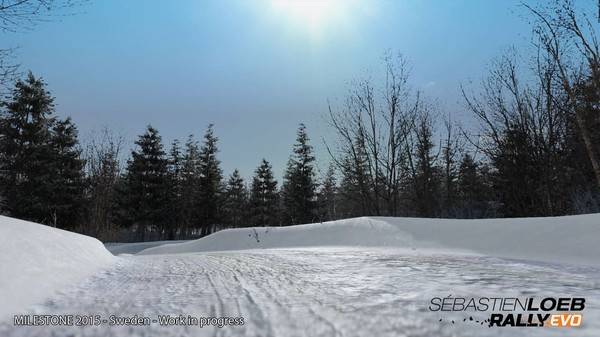 Игра Sébastien Loeb Rally EVO, скриншот