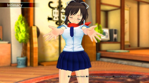 Игра SENRAN KAGURA Burst Re:Newal, скриншот