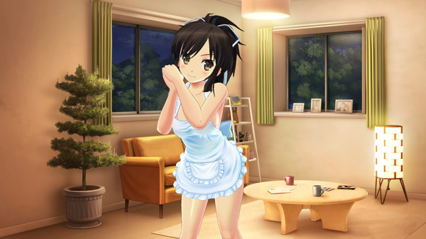 Игра SENRAN KAGURA Reflexions - Newlyweds Outfit Set, скриншот