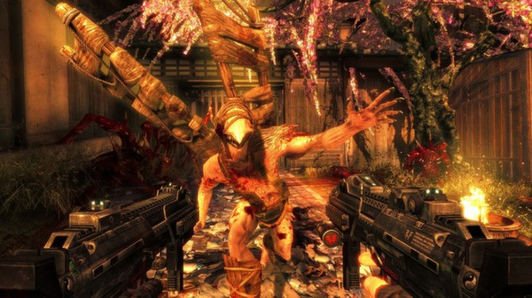Игра Shadow Warrior, скриншот