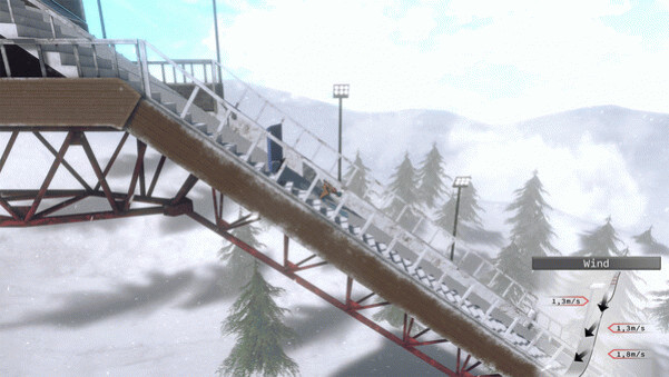 Игра Ski Jumping World Cup, скриншот