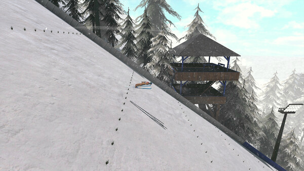 Игра Ski Jumping World Cup, скриншот