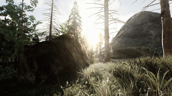 Игра Skye: The Misty Isle, скриншот
