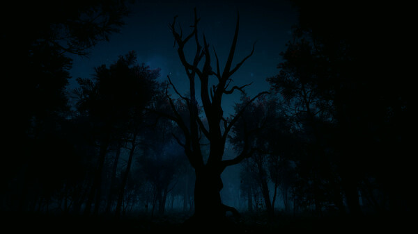 Игра Slender: The Arrival, скриншот