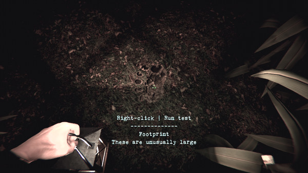 Игра Snipe Hunt, скриншот