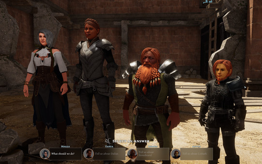 Игра Solasta: Crown of the Magister, скриншот