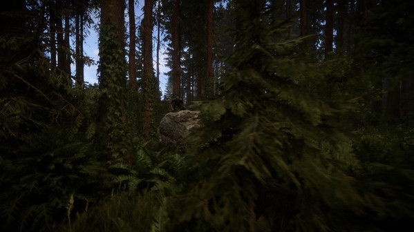 Игра Sons Of The Forest, скриншот