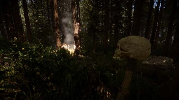 Игра Sons Of The Forest, скриншот