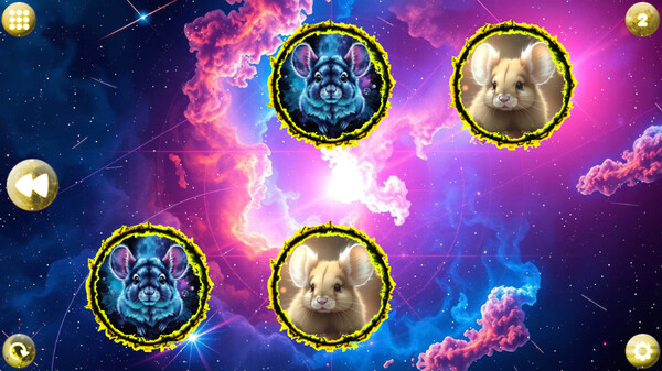 Игра Space Memory: Chinchillas, скриншот