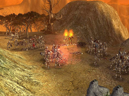 Игра SpellForce - Platinum Edition, скриншот