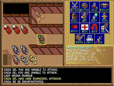 Игра Spelljammer: Pirates of Realmspace, скриншот