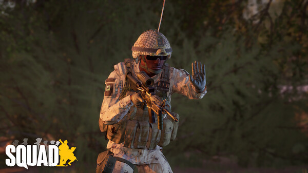 Игра Squad Emotes - Stand Off Pack, скриншот