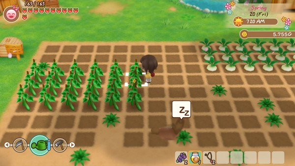Игра STORY OF SEASONS: Friends of Mineral Town, скриншот