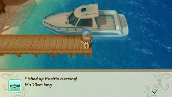 Игра STORY OF SEASONS: Friends of Mineral Town, скриншот