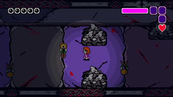 Игра Sunshine Manor, скриншот