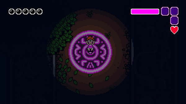 Игра Sunshine Manor, скриншот