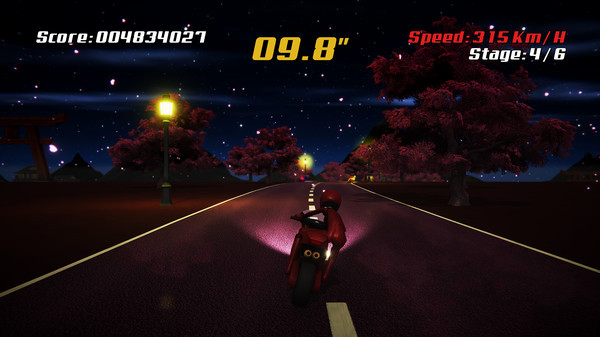 Игра Super Night Riders, скриншот