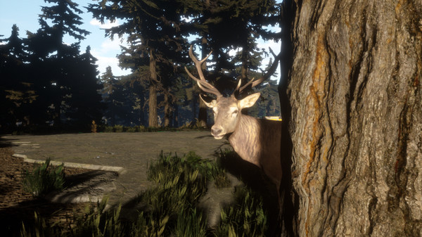 Игра Survival: Lost Way, скриншот