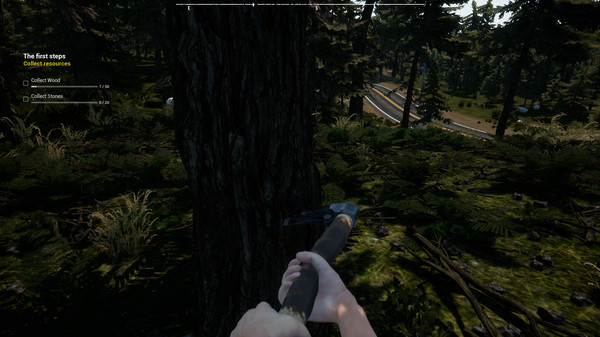 Игра Survival: Lost Way, скриншот