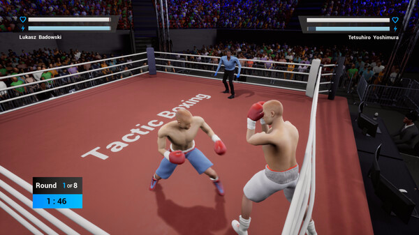 Игра Tactic Boxing, скриншот