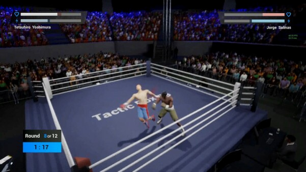 Игра Tactic Boxing, скриншот