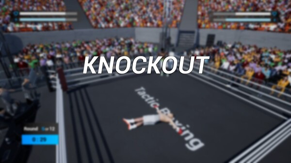 Игра Tactic Boxing, скриншот
