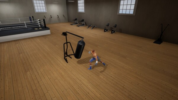 Игра Tactic Boxing, скриншот