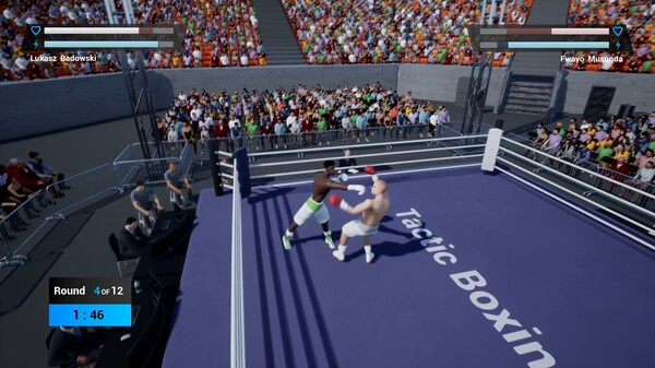 Игра Tactic Boxing, скриншот
