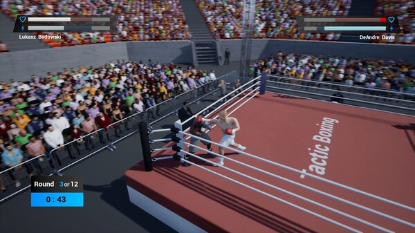 Игра Tactic Boxing, скриншот