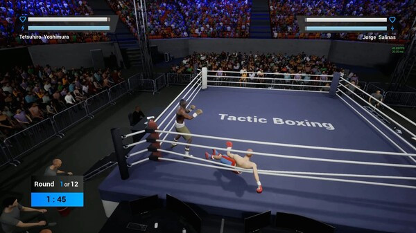 Игра Tactic Boxing, скриншот