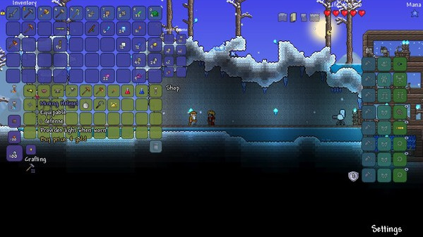 Игра Terraria, скриншот