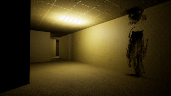 Игра The Backroom Project, скриншот