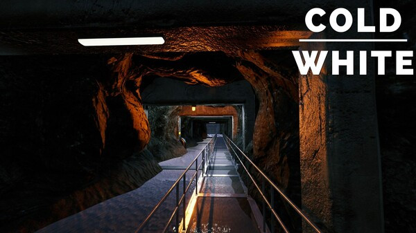 Игра The Cold White, скриншот
