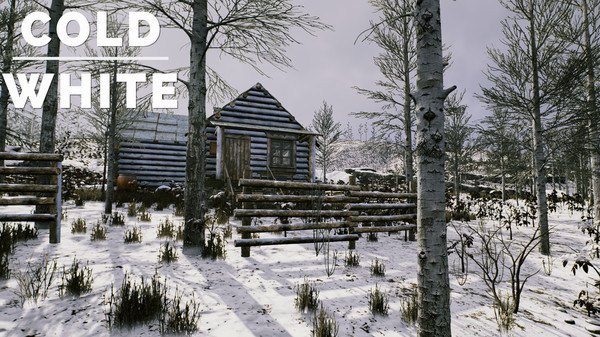 Игра The Cold White, скриншот