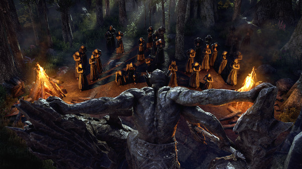 Игра The Elder Scrolls Online - Blackwood, скриншот