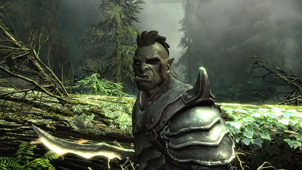 Игра The Elder Scrolls V: Skyrim, скриншот