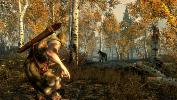 Игра The Elder Scrolls V: Skyrim, скриншот