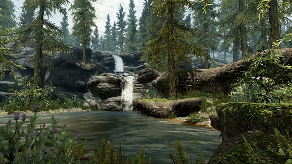 Игра The Elder Scrolls V: Skyrim, скриншот