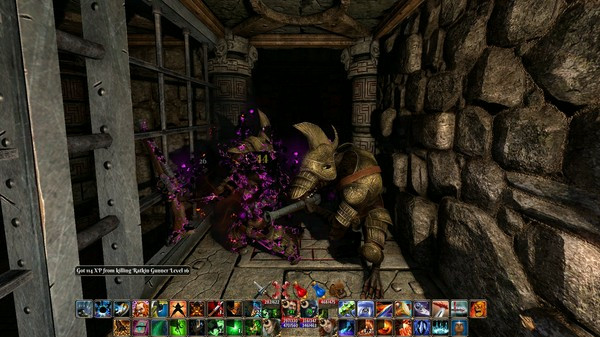 Игра The Fall of the Dungeon Guardians - Enhanced Edition, скриншот
