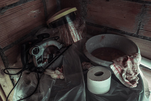 Игра The Fan, скриншот