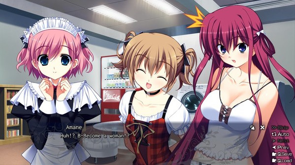 Игра The Fruit of Grisaia, скриншот