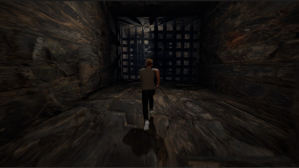 Игра The Home Way, скриншот