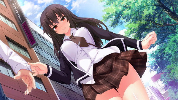 Игра The Princess, the Stray Cat, and Matters of the Heart, скриншот