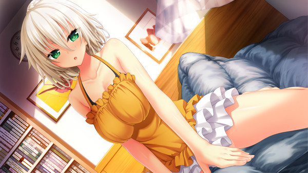 Игра The Princess, the Stray Cat, and Matters of the Heart, скриншот